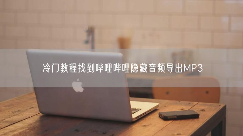 冷门教程找到哔哩哔哩隐藏音频导出MP3