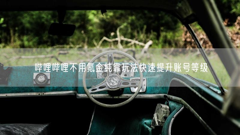 哔哩哔哩不用氪金纯靠玩法快速提升账号等级