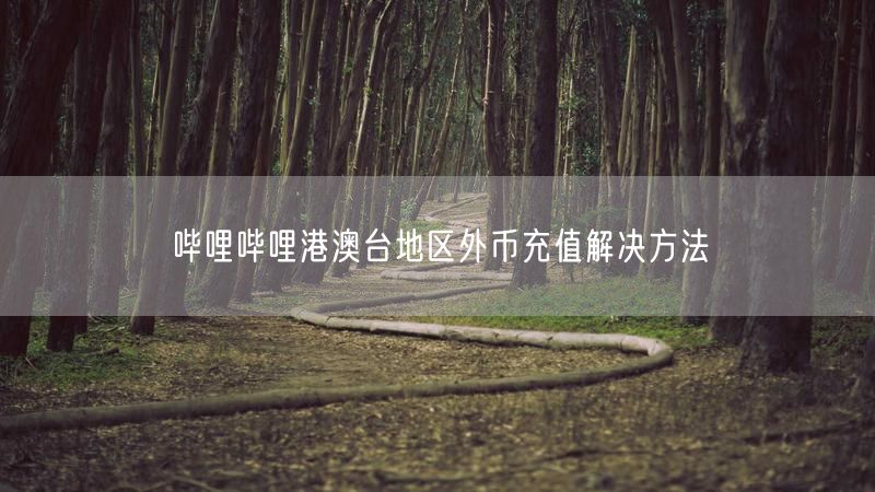 哔哩哔哩港澳台地区外币充值解决方法
