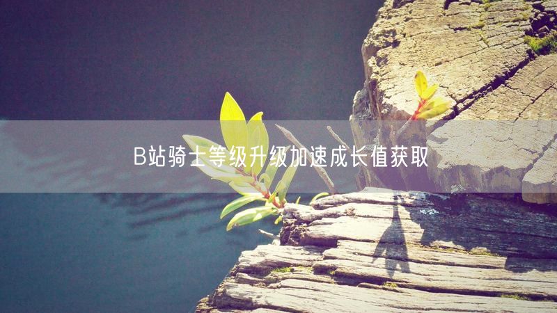 B站骑士等级升级加速成长值获取