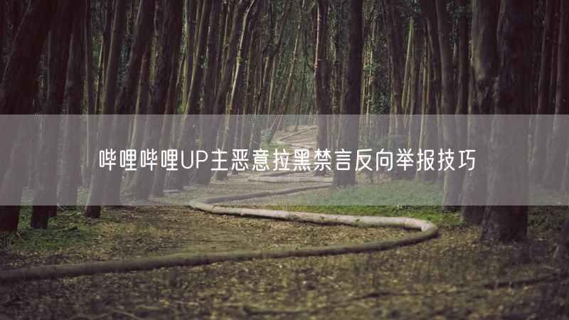 哔哩哔哩UP主恶意拉黑禁言反向举报技巧